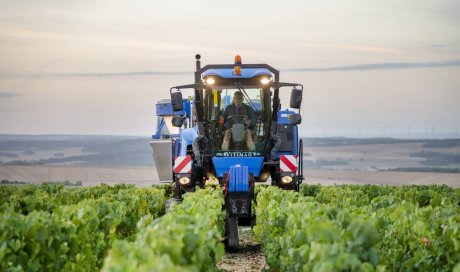 Photo de domaine viticole à Chablis et sa région.