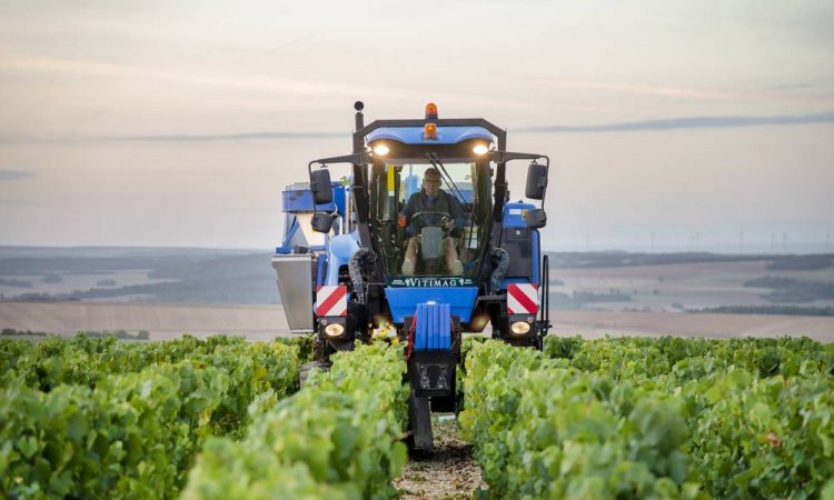 Photo de domaine viticole à Chablis et sa région.